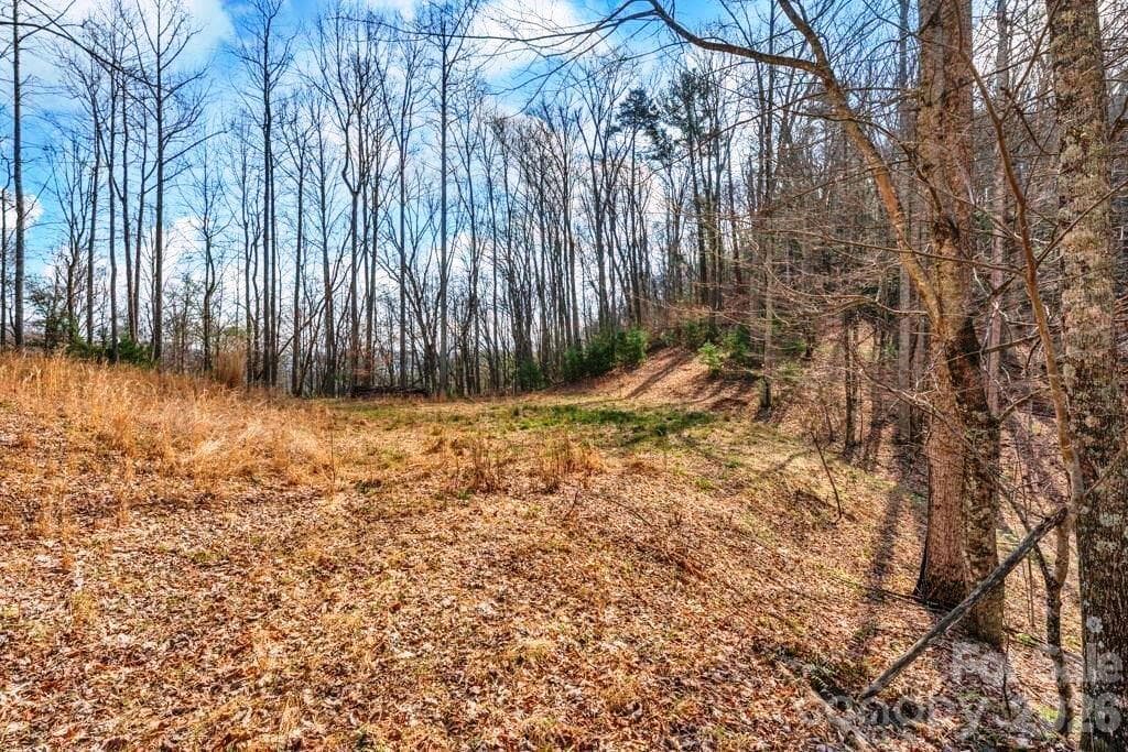 Acreage at tbd Denney Wood Road, Sugar Grove, photo 10 of 21