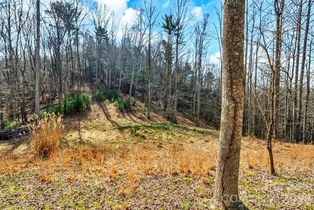 Acreage at tbd Denney Wood Road, Sugar Grove, photo 11 of 21