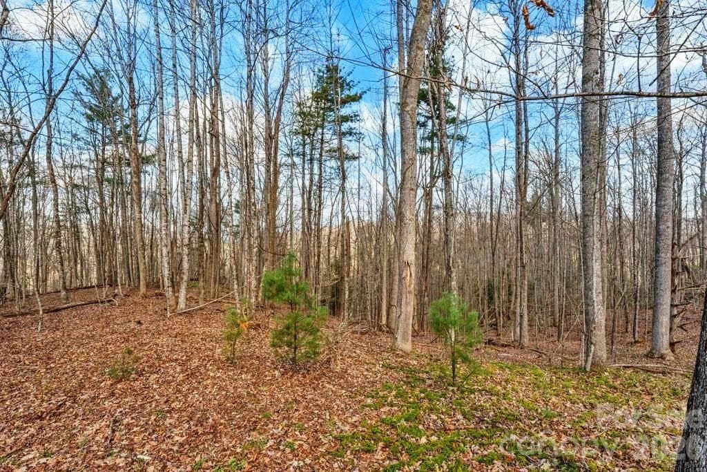 Acreage at tbd Denney Wood Road, Sugar Grove, photo 13 of 21