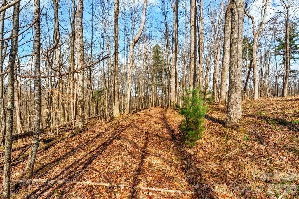 Acreage at tbd Denney Wood Road, Sugar Grove, photo 14 of 21