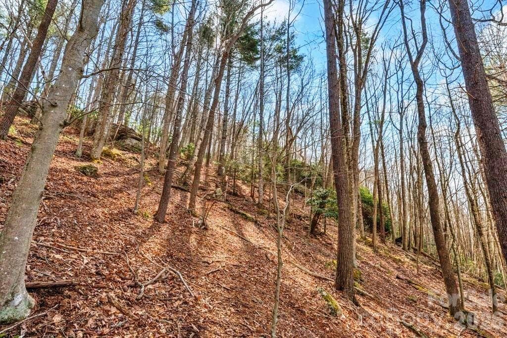 Acreage at tbd Denney Wood Road, Sugar Grove, photo 15 of 21