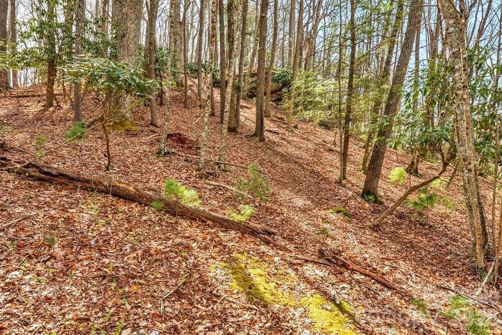 Acreage at tbd Denney Wood Road, Sugar Grove, photo 16 of 21
