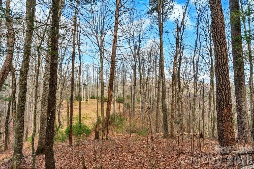 Acreage at tbd Denney Wood Road, Sugar Grove, photo 18 of 21