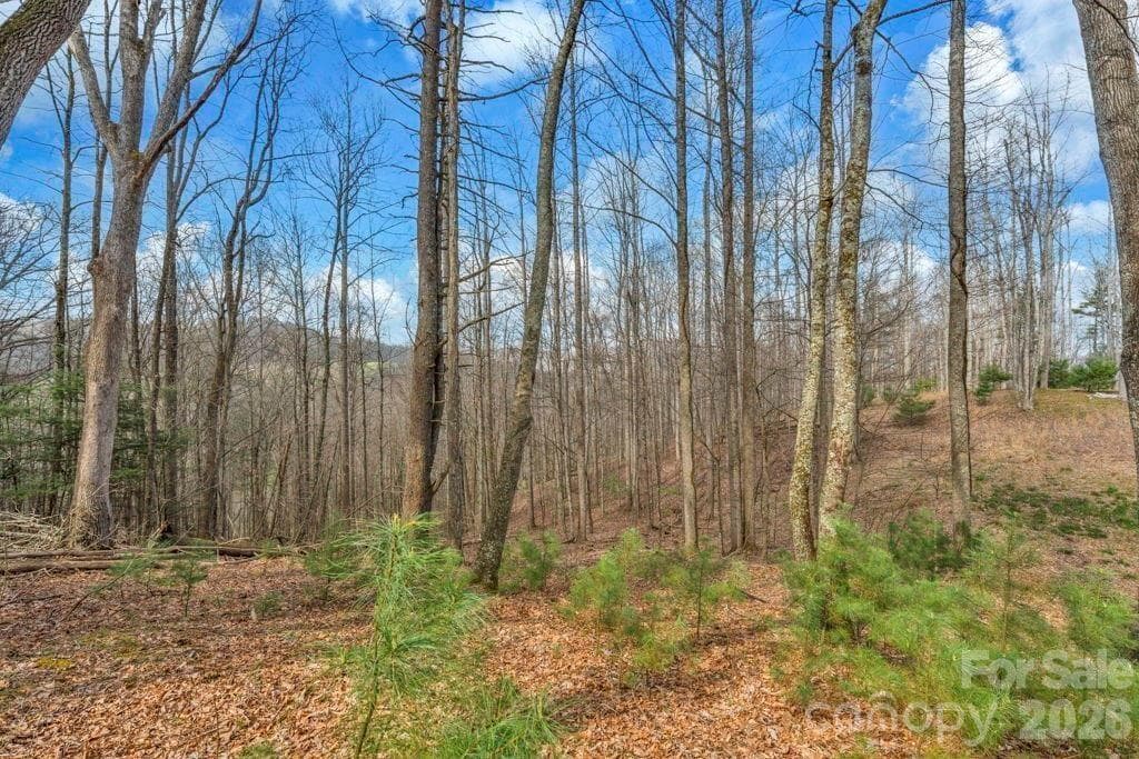 Acreage at tbd Denney Wood Road, Sugar Grove, photo 19 of 21