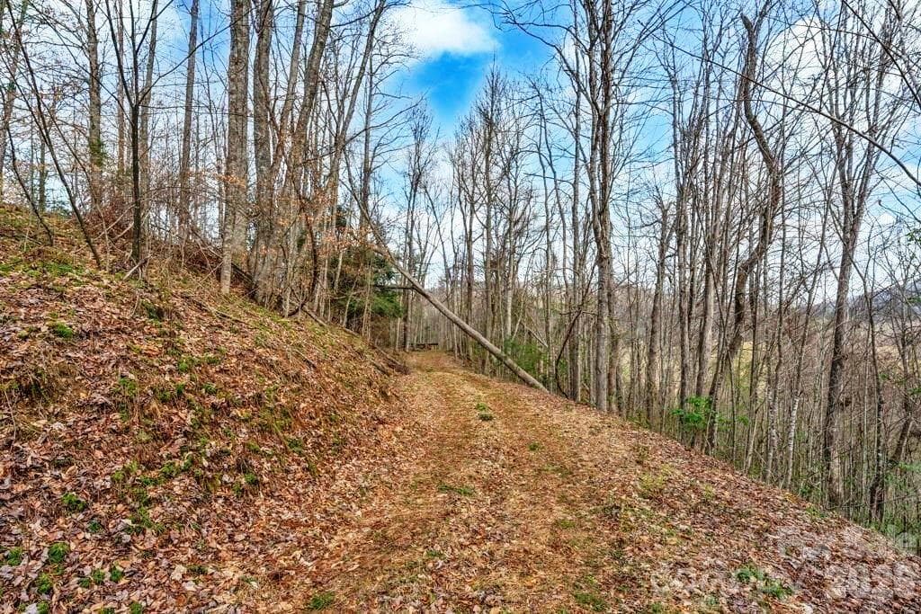 Acreage at tbd Denney Wood Road, Sugar Grove, photo 20 of 21