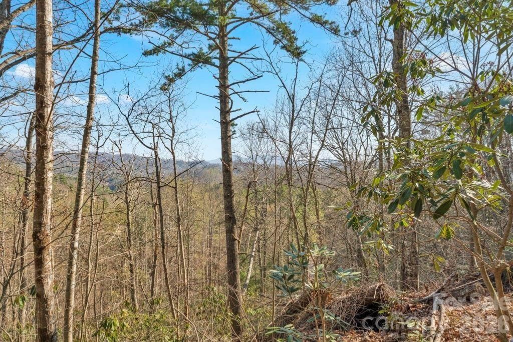 Acreage at tbd Rominger Road, Sugar Grove, photo 10 of 14