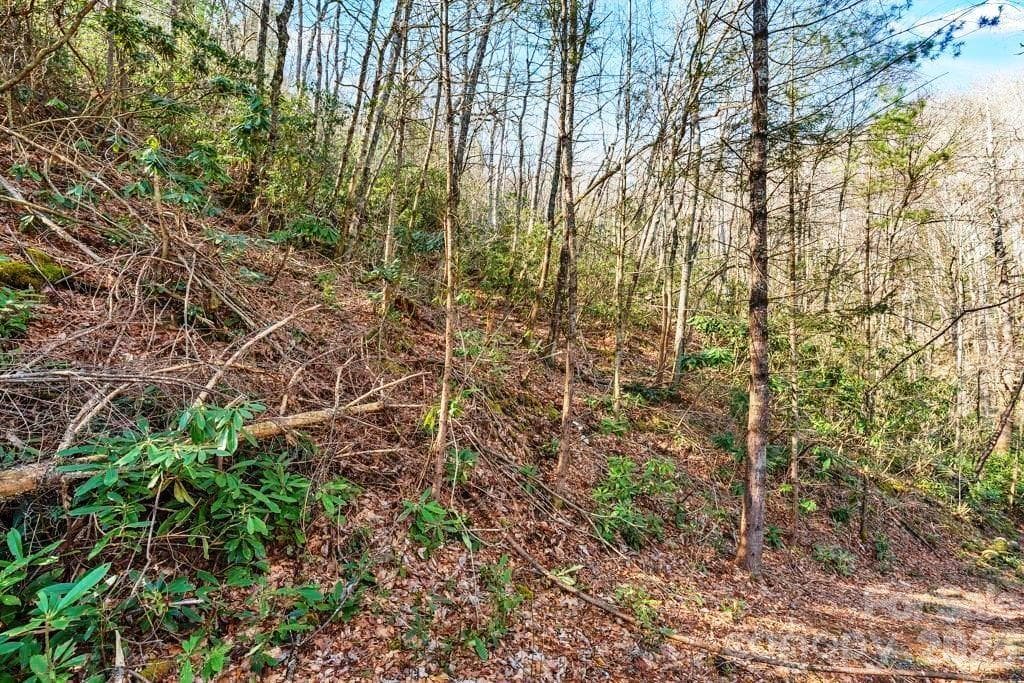 Acreage at tbd Rominger Road, Sugar Grove, photo 12 of 14
