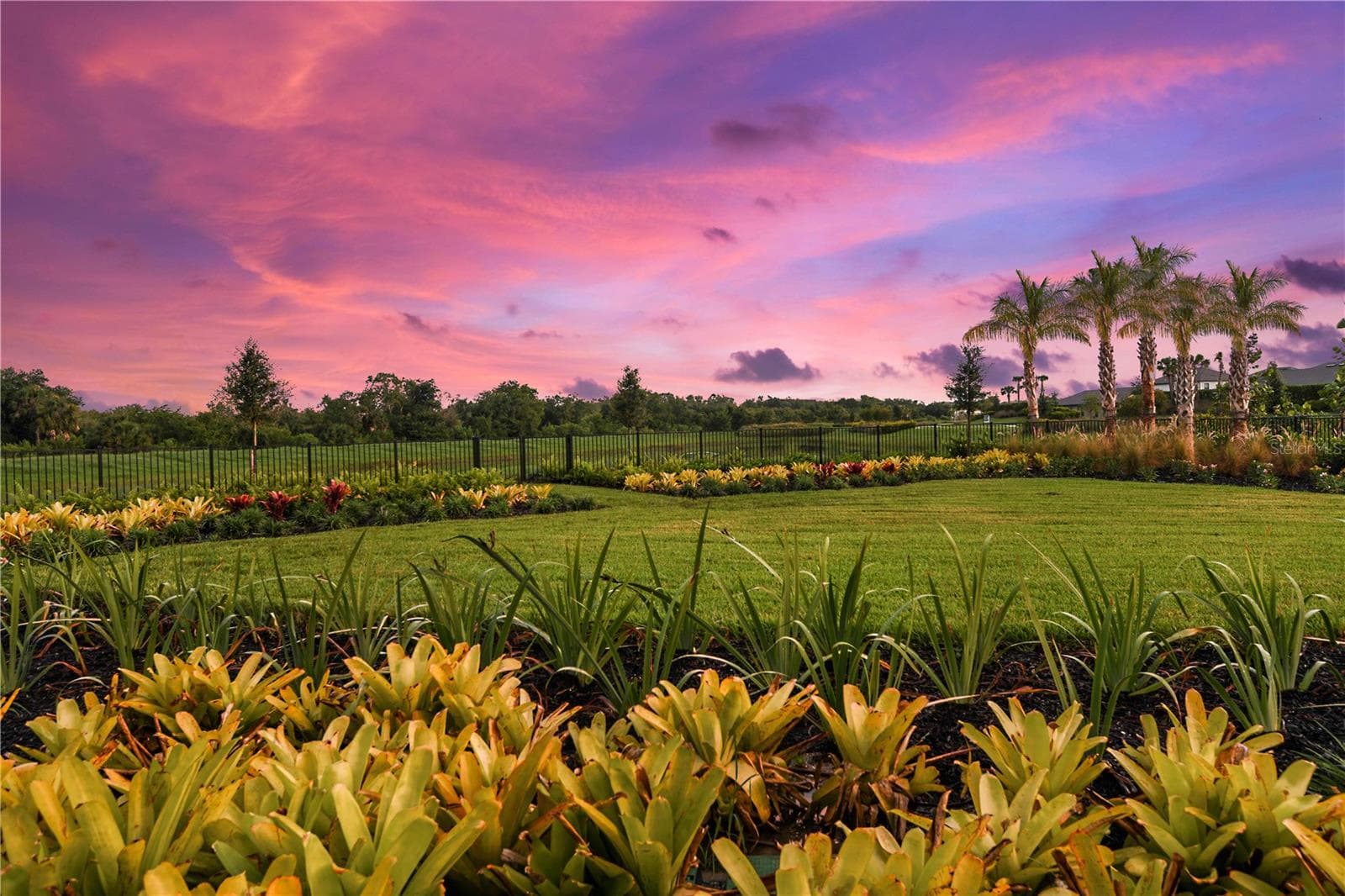 Cassia at Skye Ranch Community - 10836 ECLIPSE ST, SARASOTA