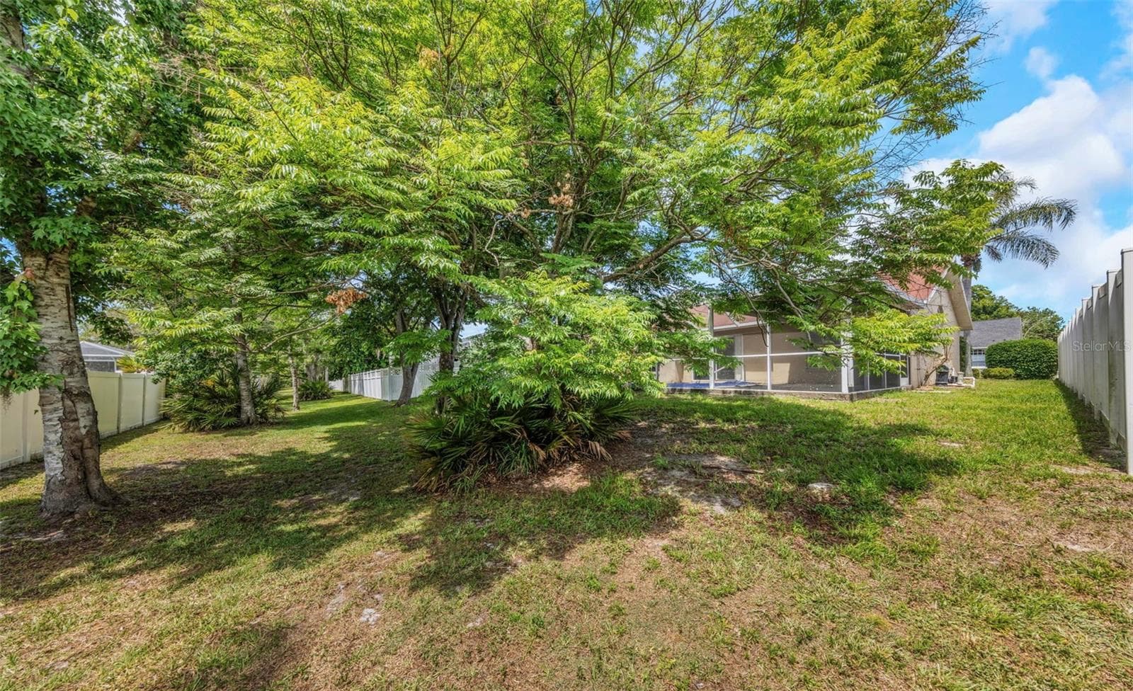 Rear Yard - Reverse View - 7919 STARFIRE WAY, NEW PORT RICHEY