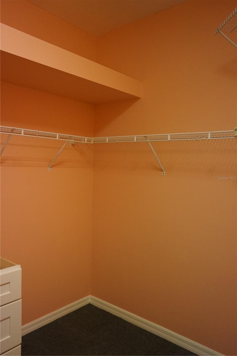 walk in closet - 201 SUNSET CREST CT, APOLLO BEACH