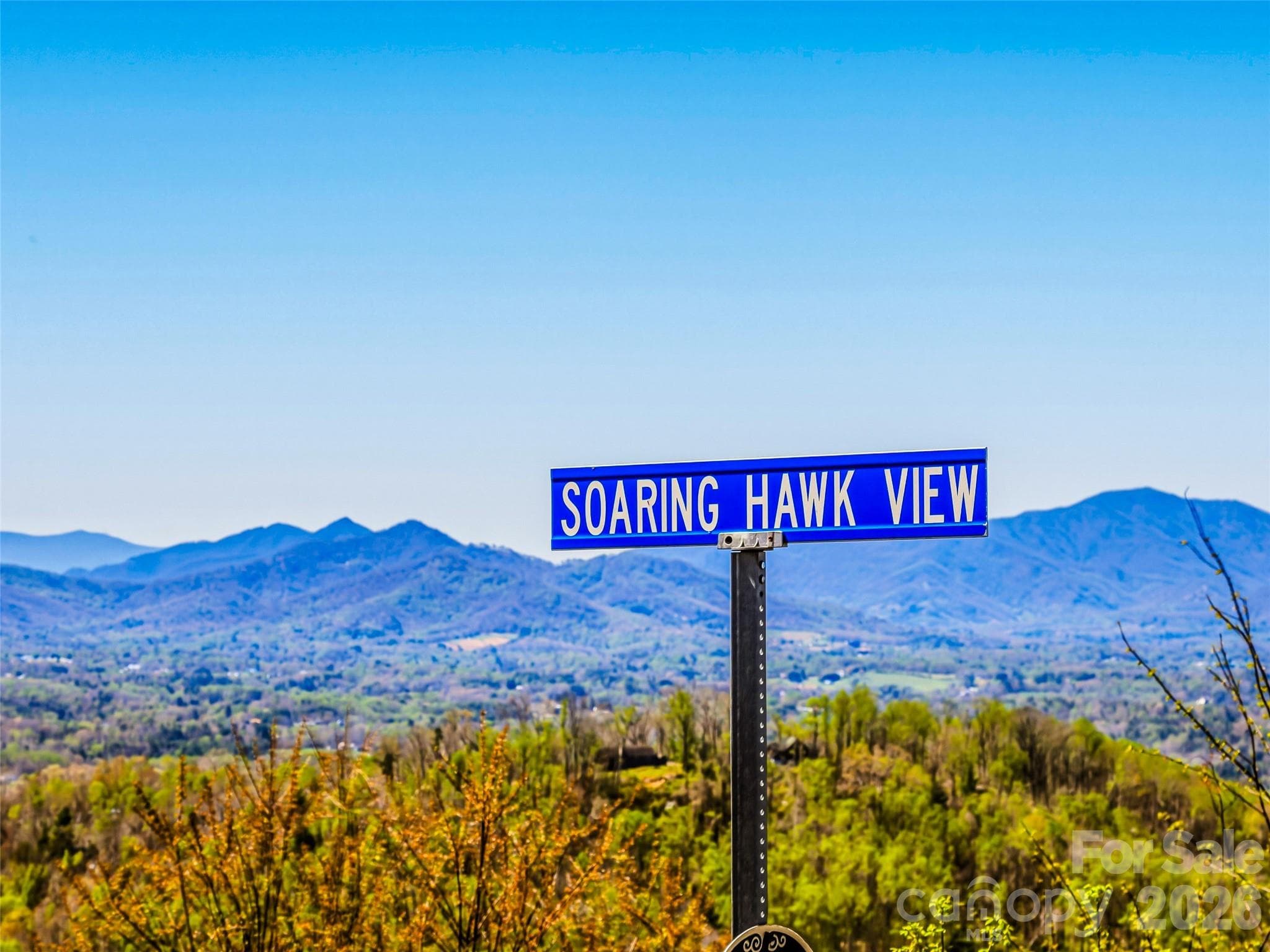 Lot at Asheville, photo 3 of 40