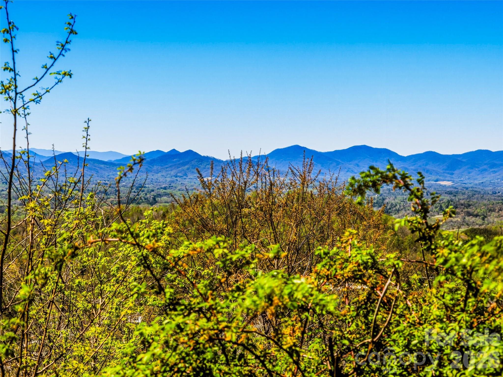 Lot at Asheville, photo 7 of 40