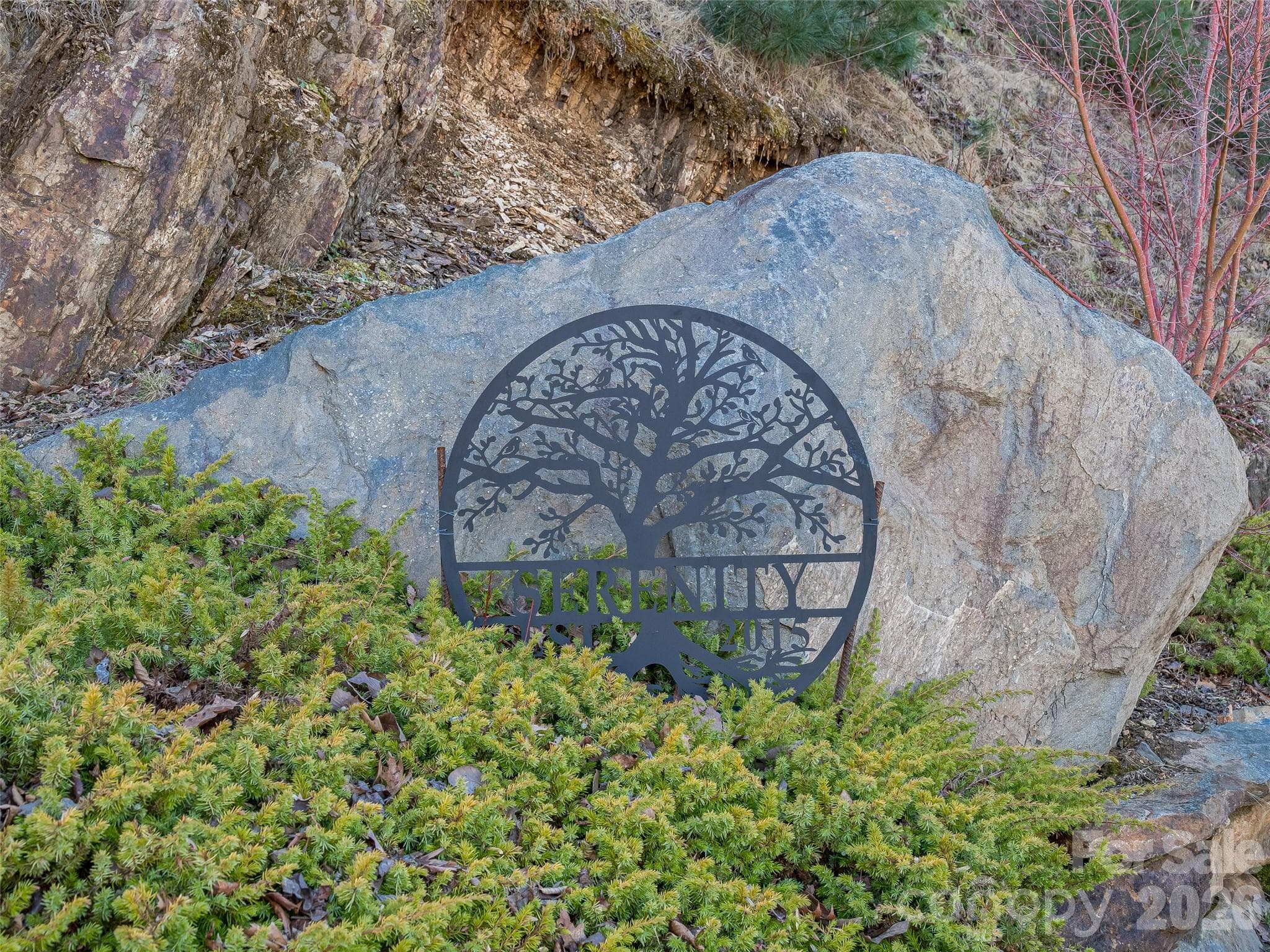 Lot at 5 Soaring Hawk View, Asheville, photo 30 of 40