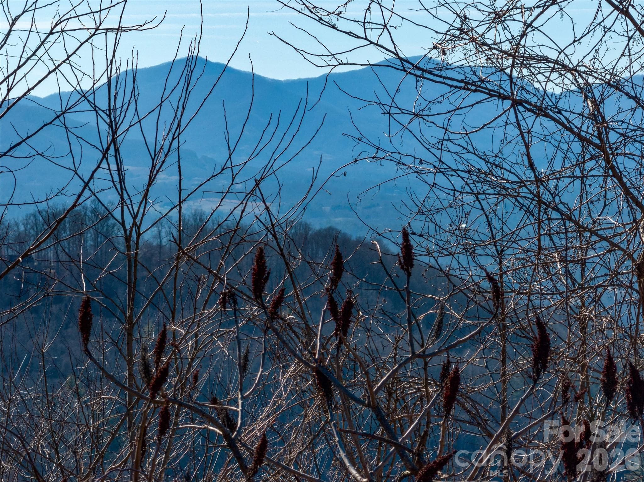Lot at 5 Soaring Hawk View, Asheville, photo 35 of 40