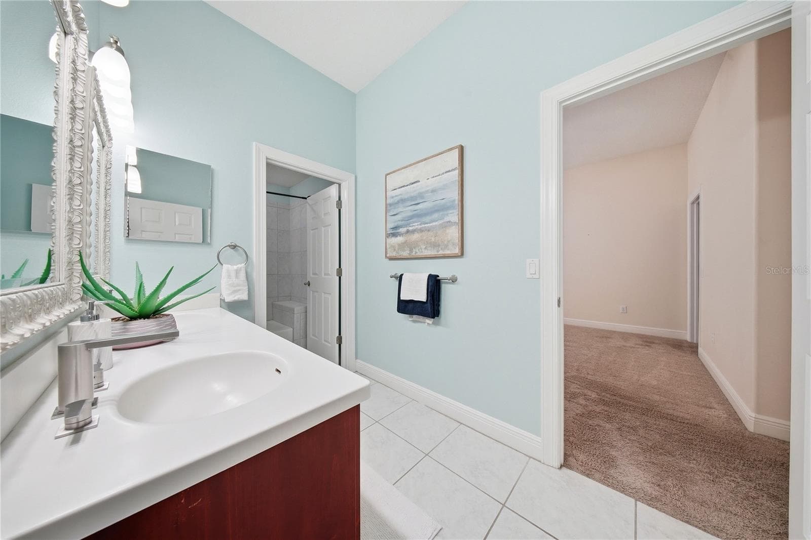 Single Family Residence at 510 MIRABAY BLVD, APOLLO BEACH, photo 43 of 62