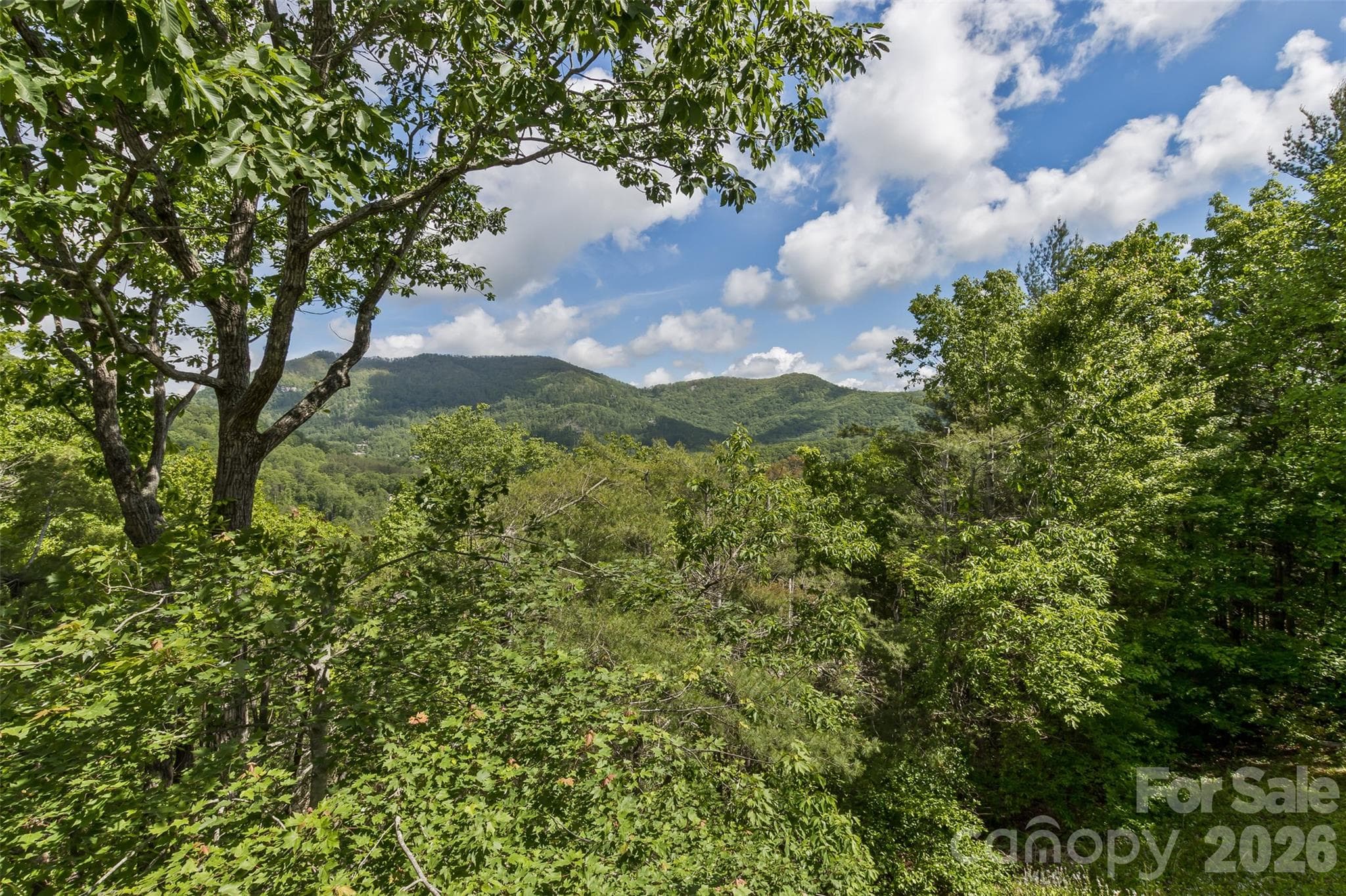 Let this view greet You! - 25 Windsong Drive, Fairview