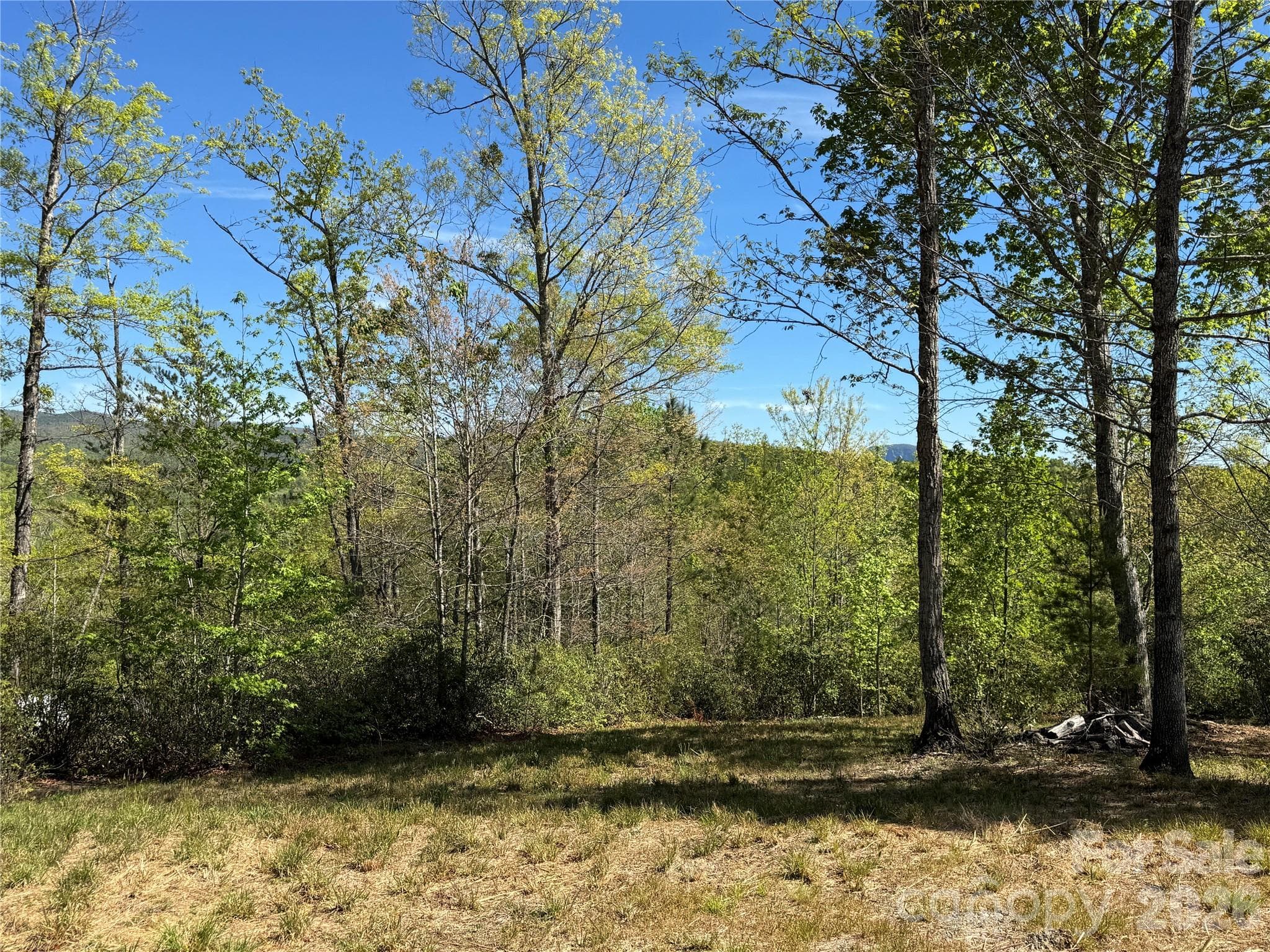 Mountain Views - Nebo
