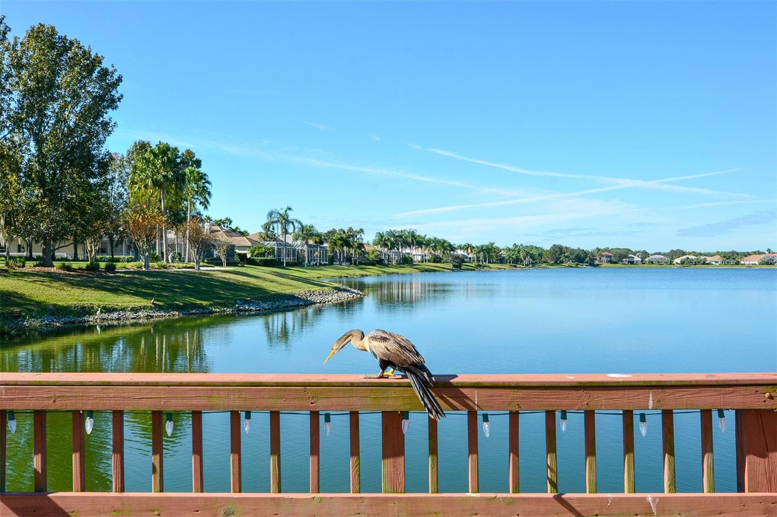 Single Family Residence at 6716 SPRING MOSS PL, LAKEWOOD RANCH, photo 47 of 53