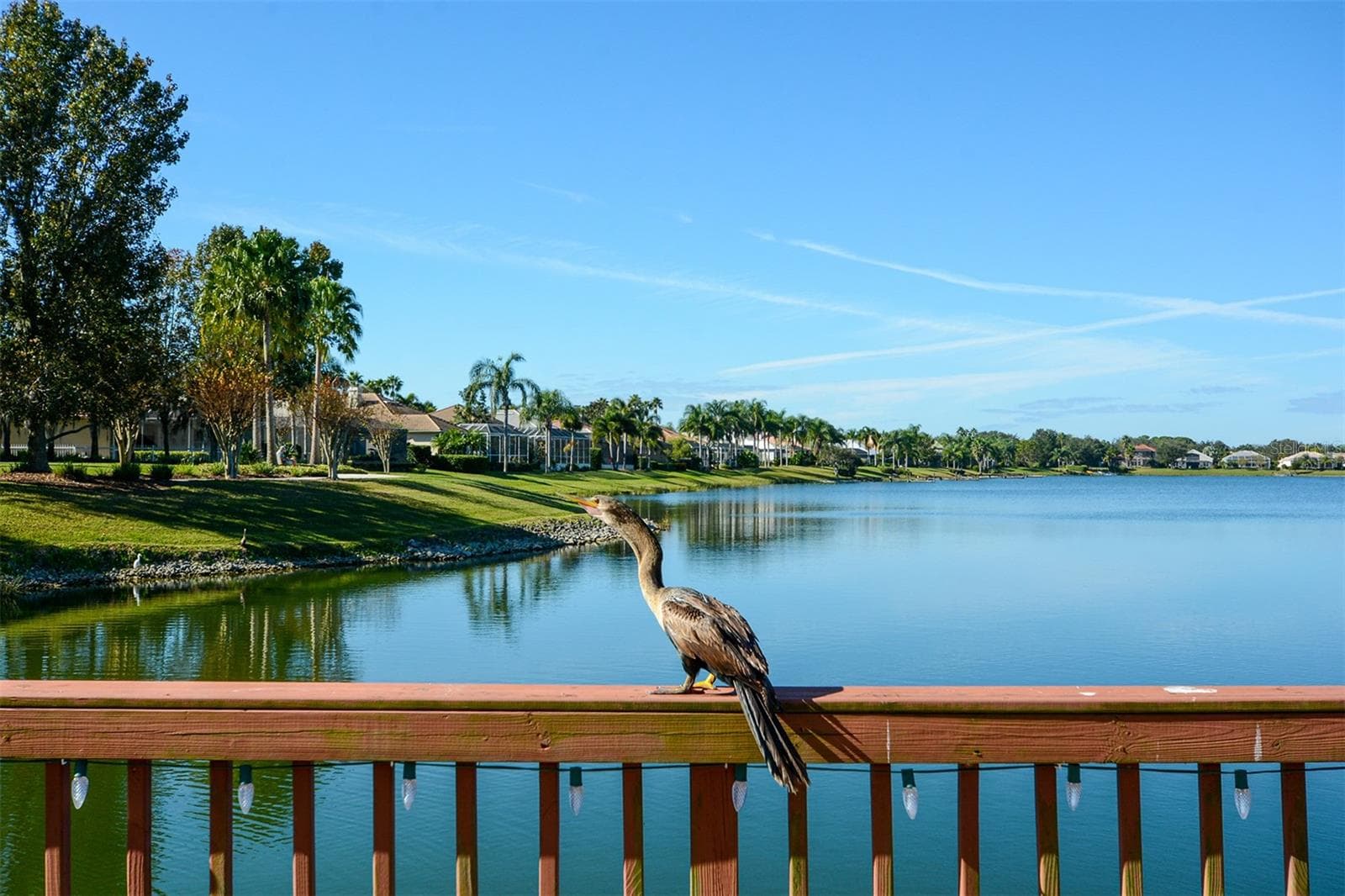 Single Family Residence at 6716 SPRING MOSS PL, LAKEWOOD RANCH, photo 48 of 53