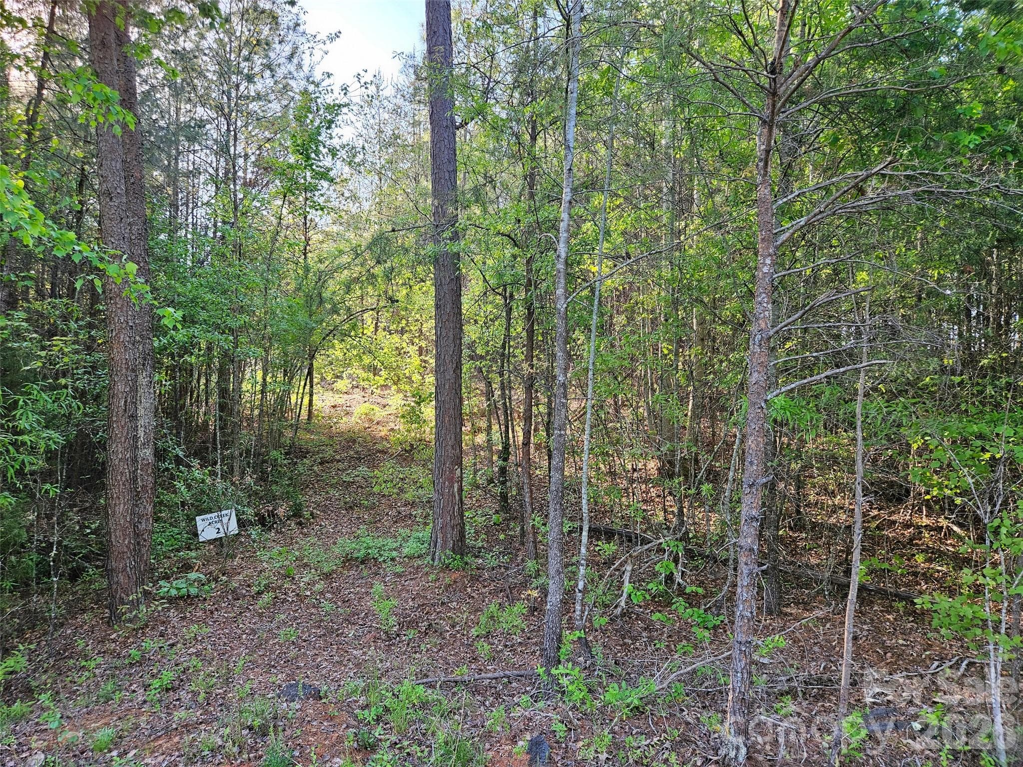 Lot at 0 Old Hollis Road, Ellenboro, photo 2 of 15