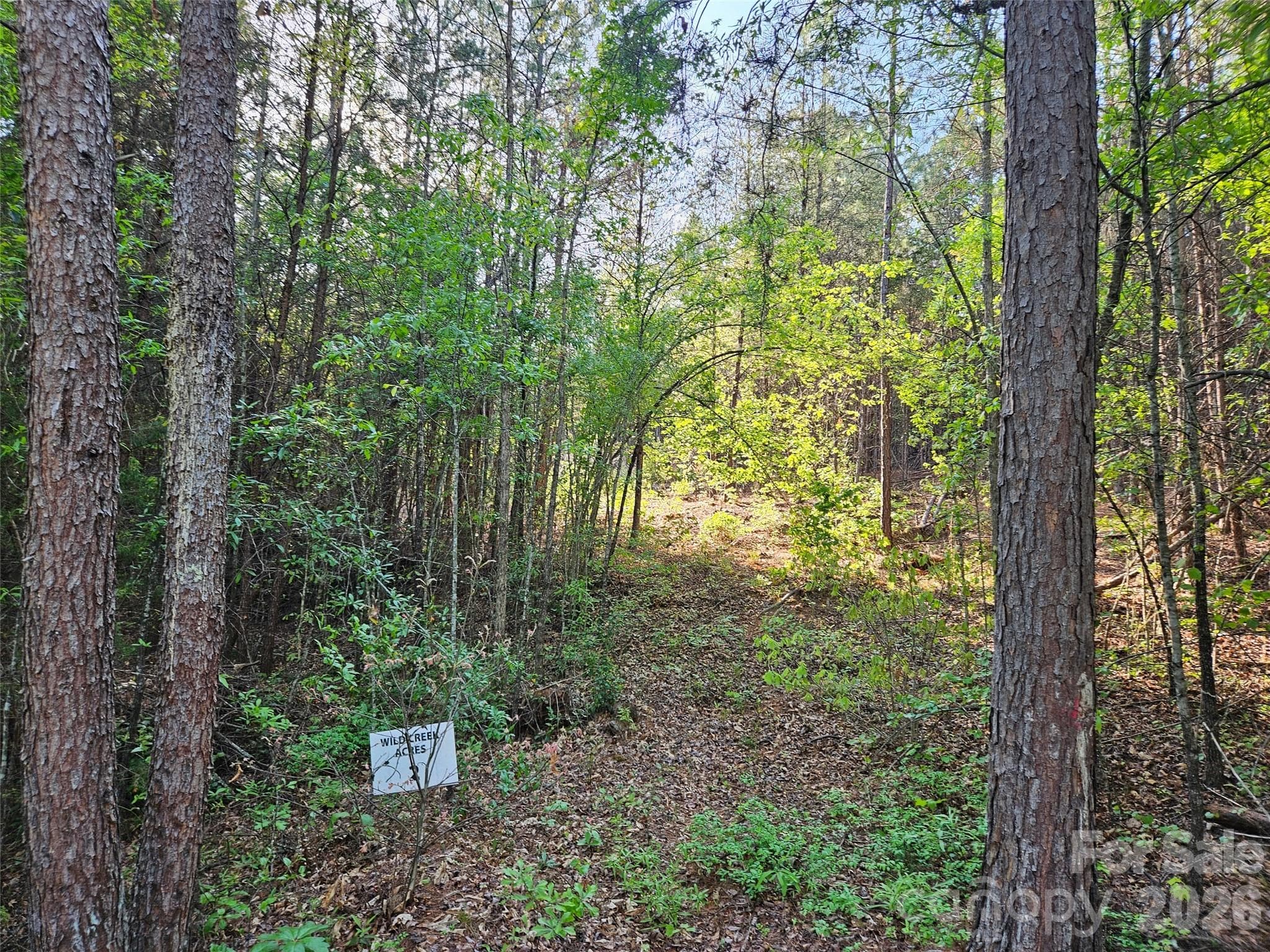 Lot at 0 Old Hollis Road, Ellenboro, photo 5 of 15