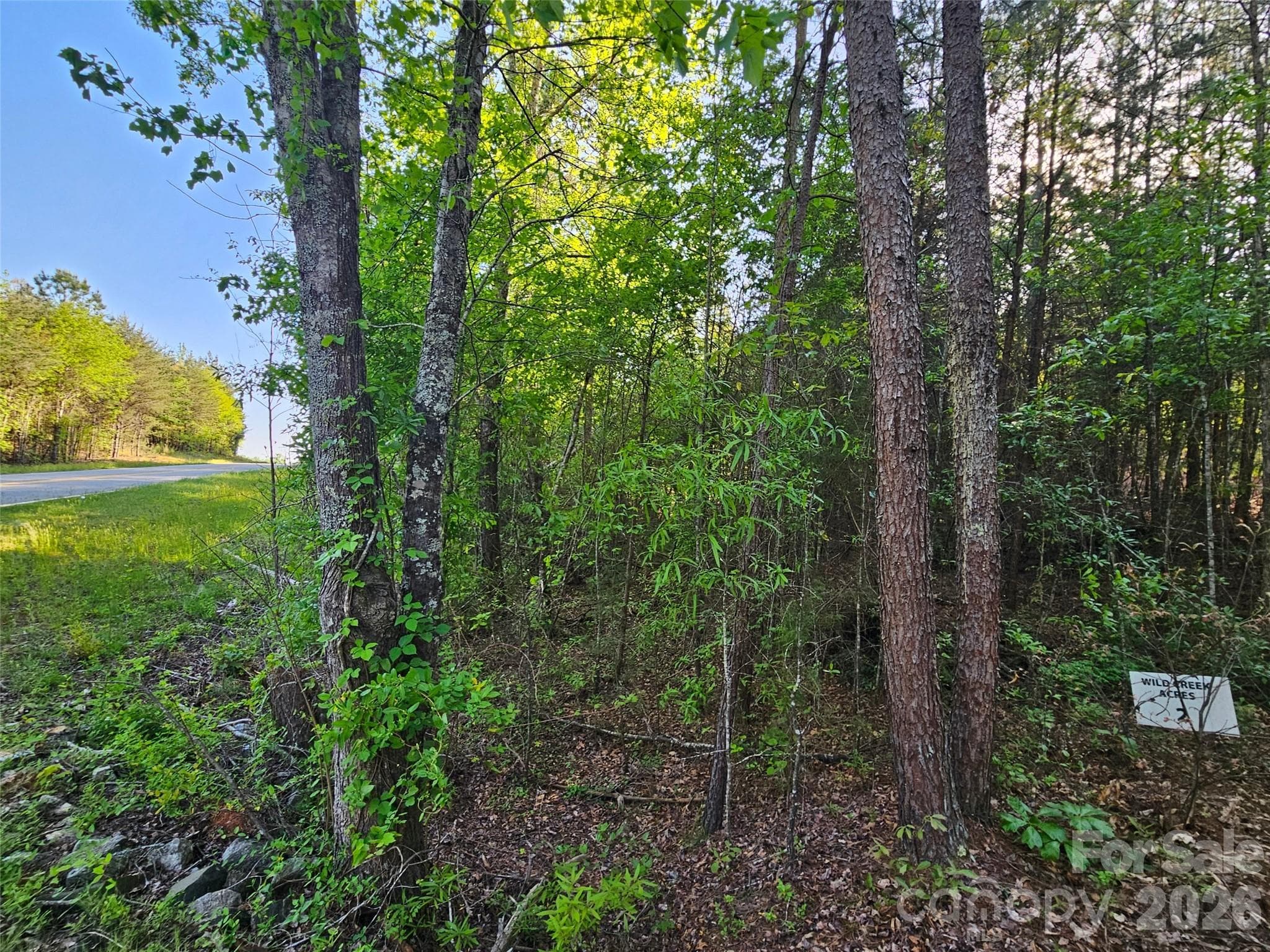 Lot at 0 Old Hollis Road, Ellenboro, photo 6 of 15