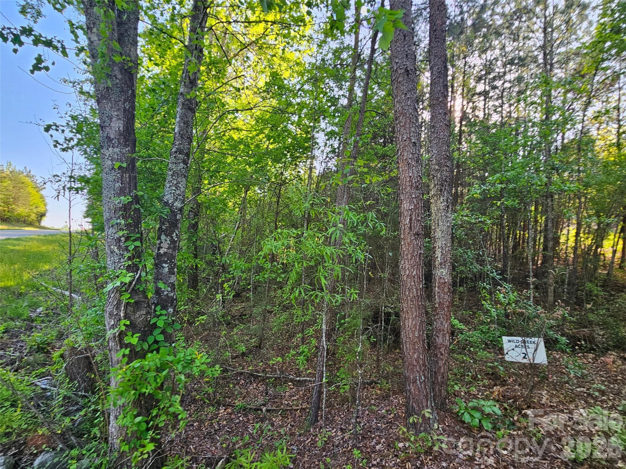 Lot at 0 Old Hollis Road, Ellenboro, photo 9 of 15