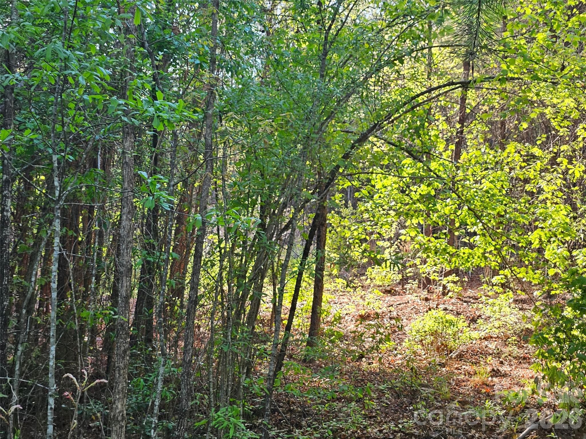 Lot at 0 Old Hollis Road, Ellenboro, photo 11 of 15