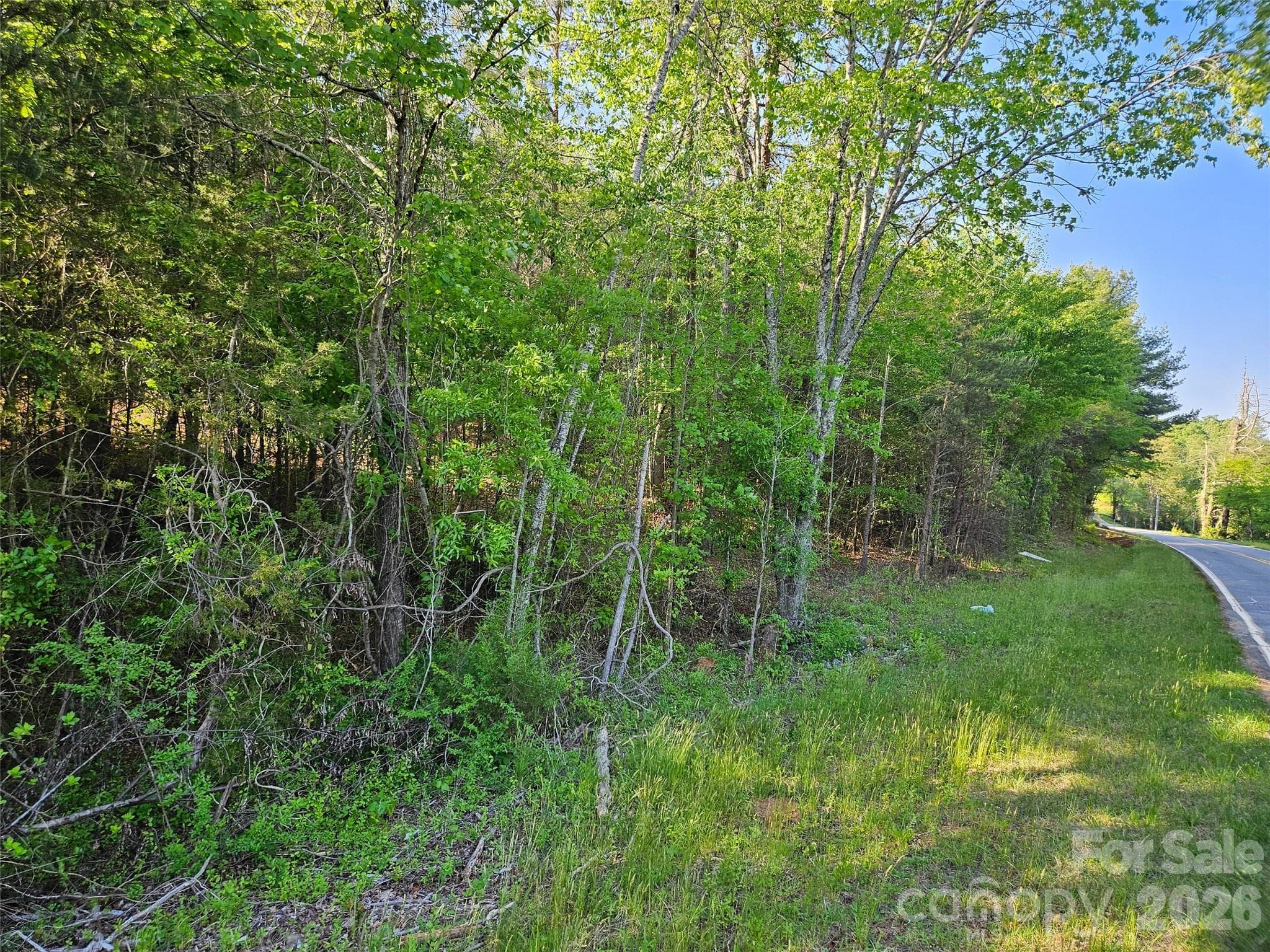 Lot at 0 Old Hollis Road, Ellenboro, photo 12 of 15