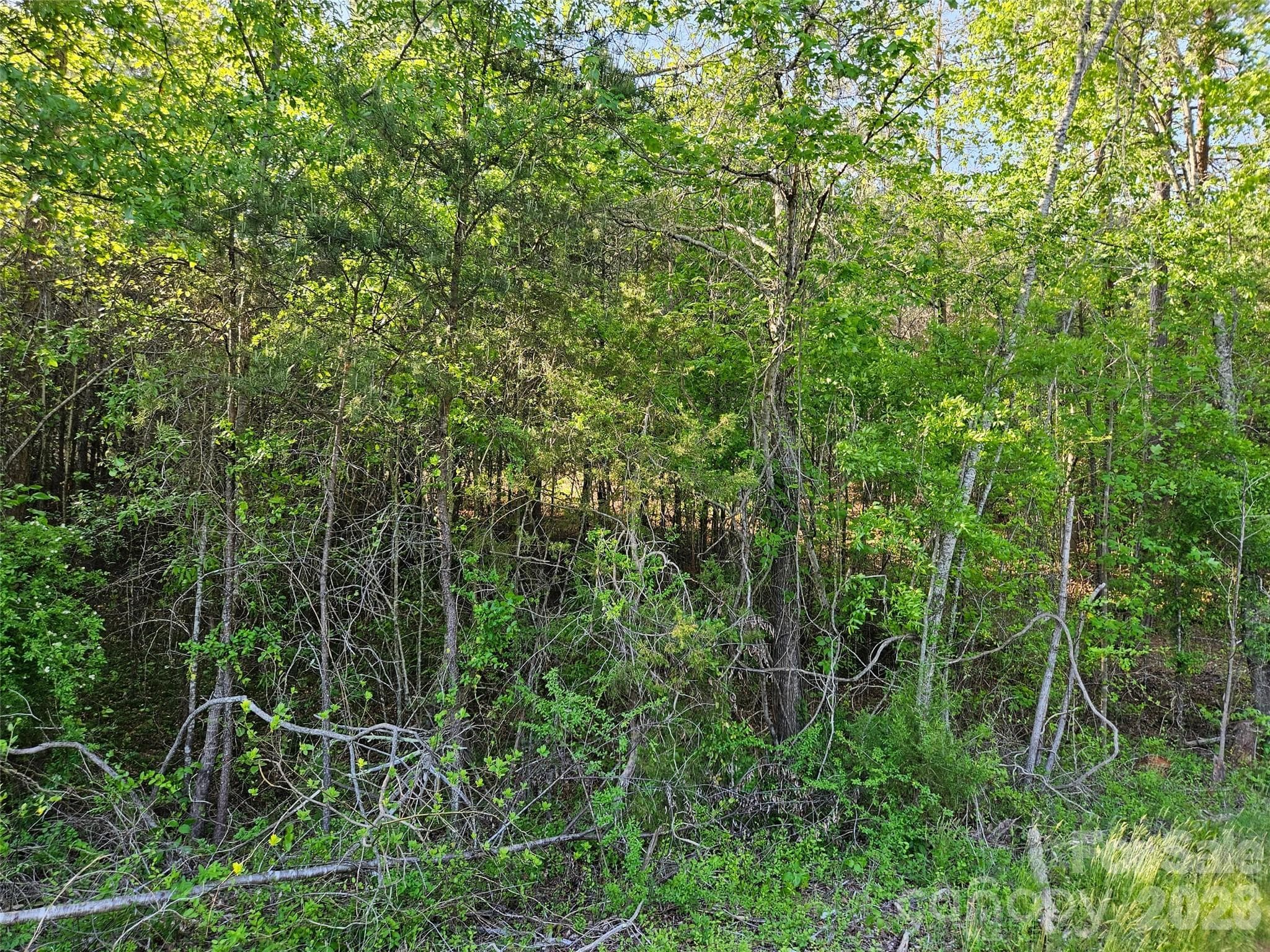 Lot at 0 Old Hollis Road, Ellenboro, photo 13 of 15