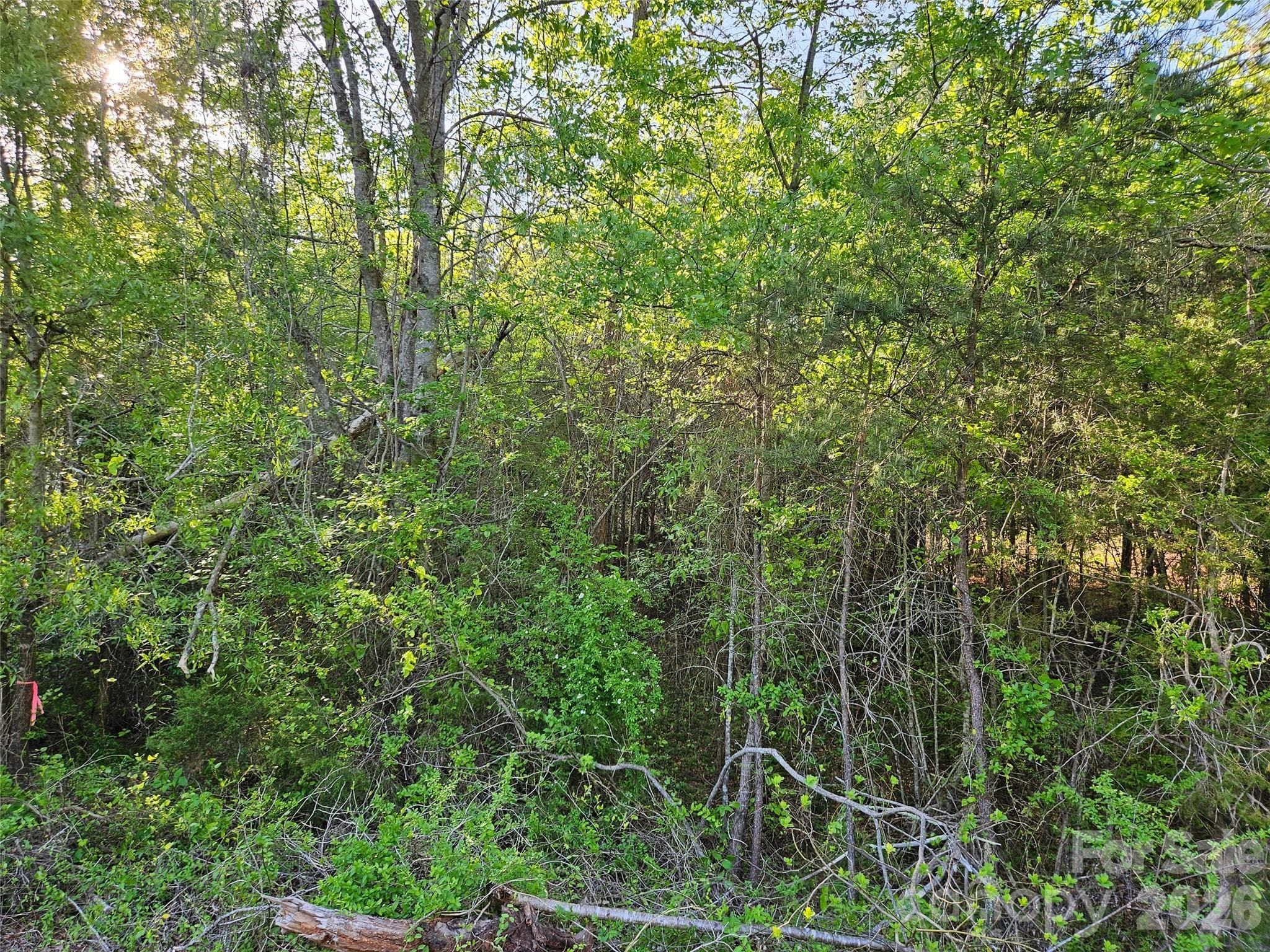 Lot at 0 Old Hollis Road, Ellenboro, photo 14 of 15