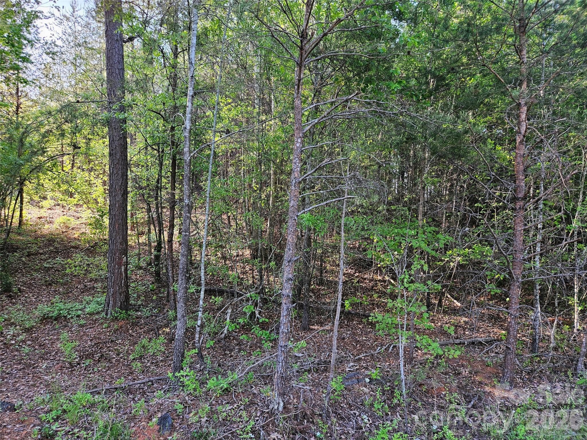 Lot at 0 Old Hollis Road, Ellenboro, photo 15 of 15
