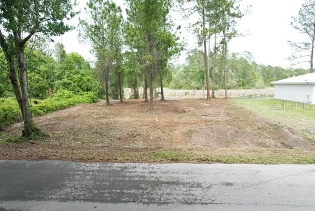 Land at LOCUST RUN DR, OCALA, photo 3 of 11