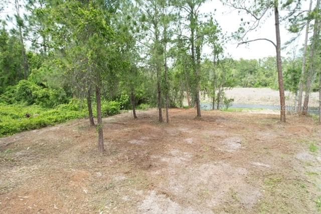 Land at LOCUST RUN DR, OCALA, photo 4 of 11