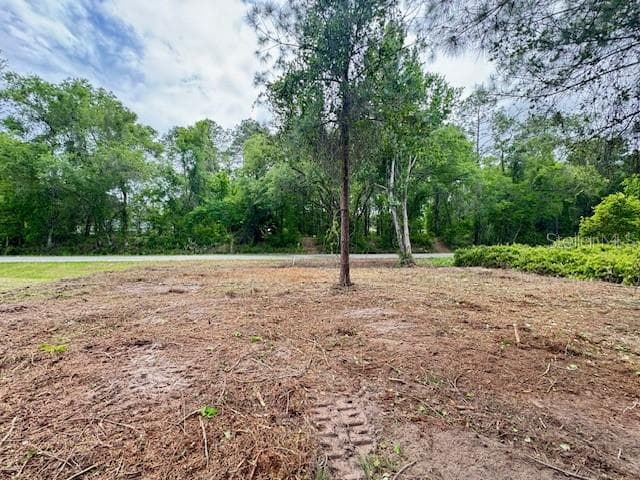 Land at LOCUST RUN DR, OCALA, photo 6 of 11