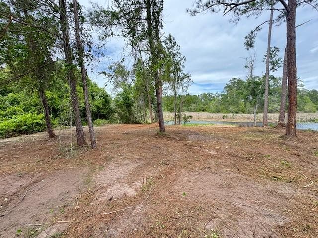 Land at LOCUST RUN DR, OCALA, photo 7 of 11
