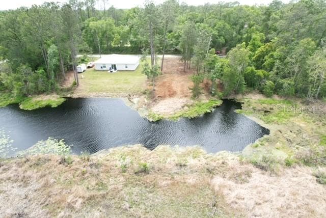 Land at LOCUST RUN DR, OCALA, photo 9 of 11
