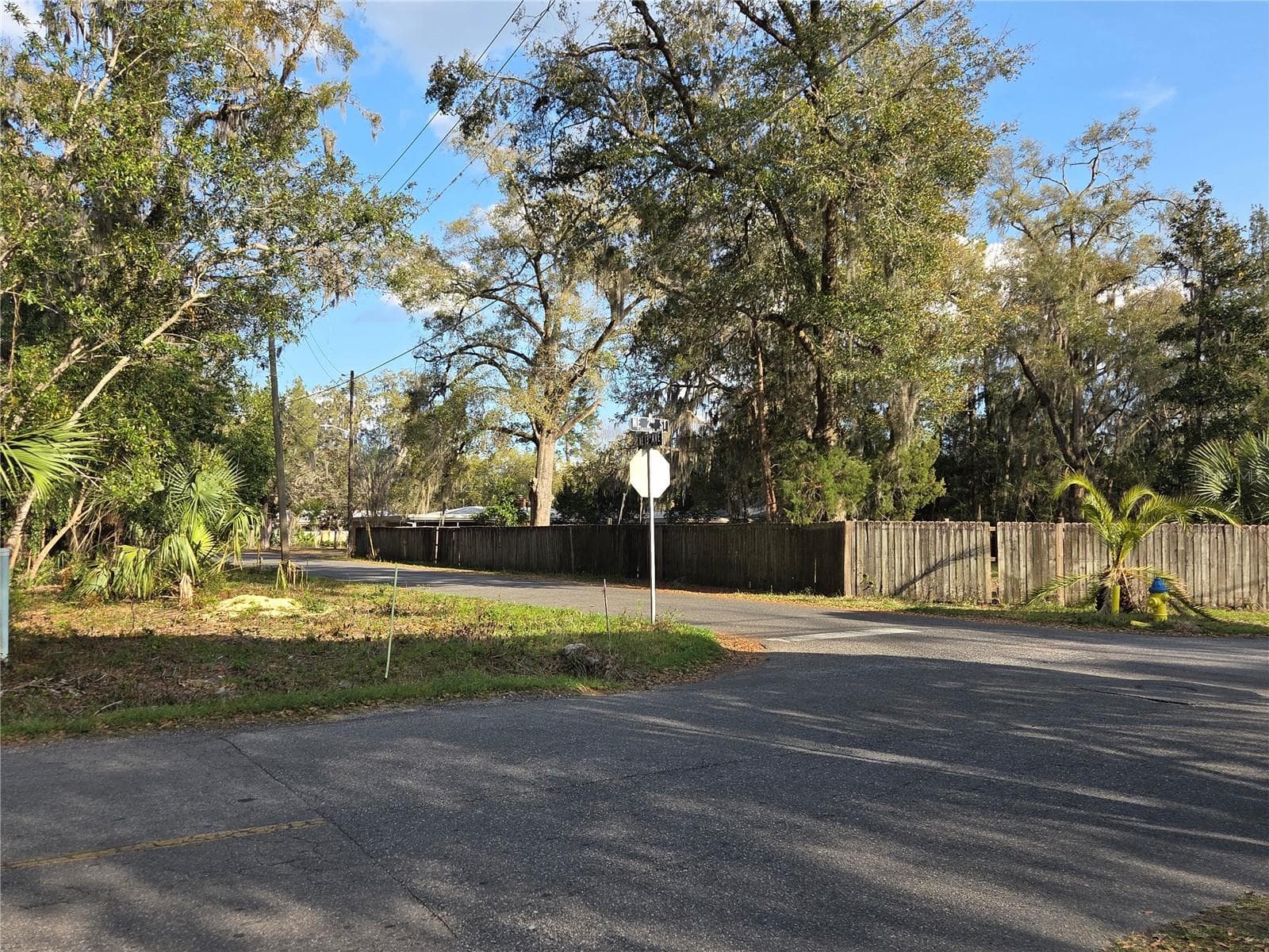 Corner of parcel, facing southest - 214 NE 13TH AVE, GAINESVILLE