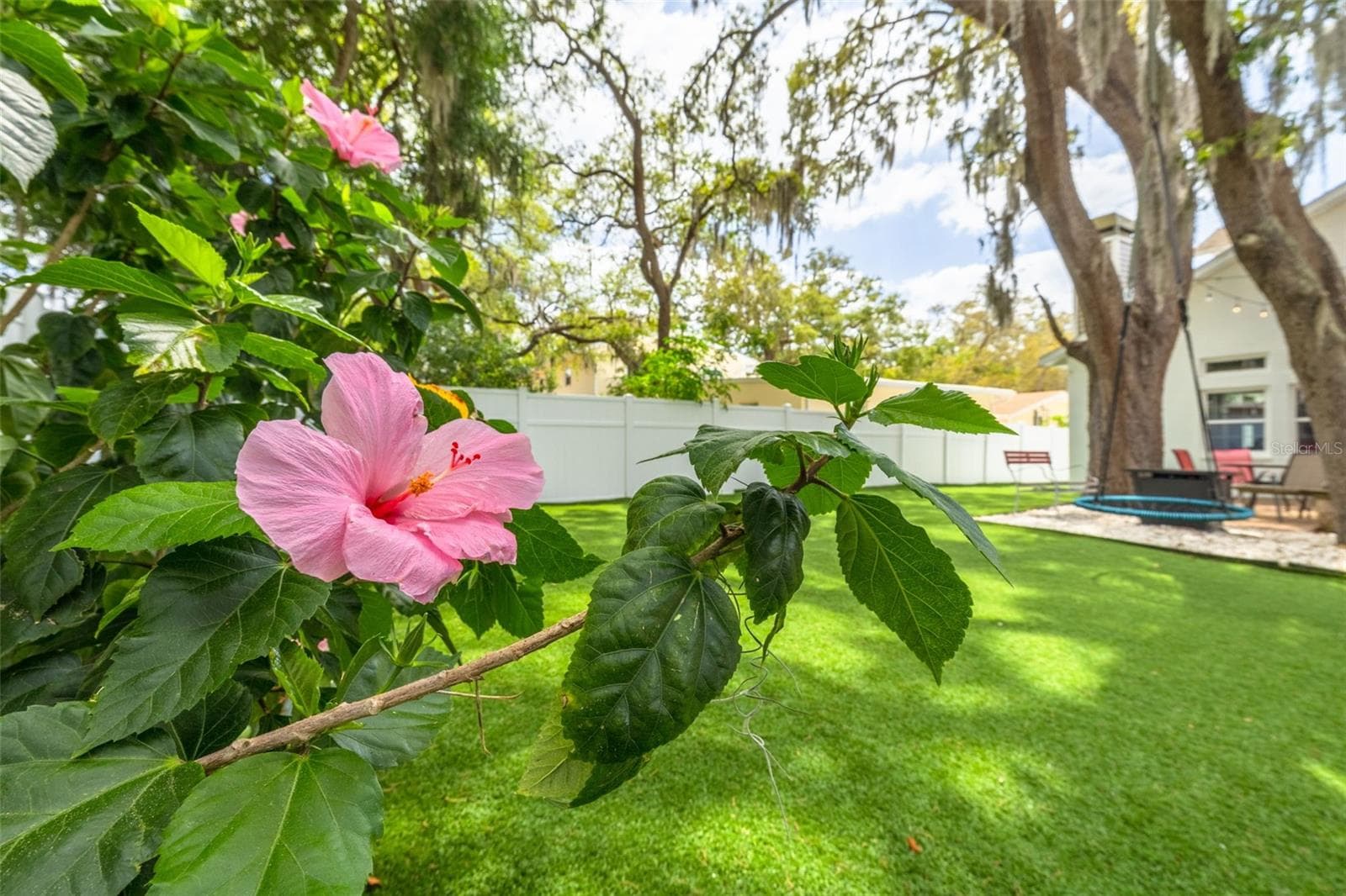 Back yard - 901 VIRGINIA AVE, TARPON SPRINGS
