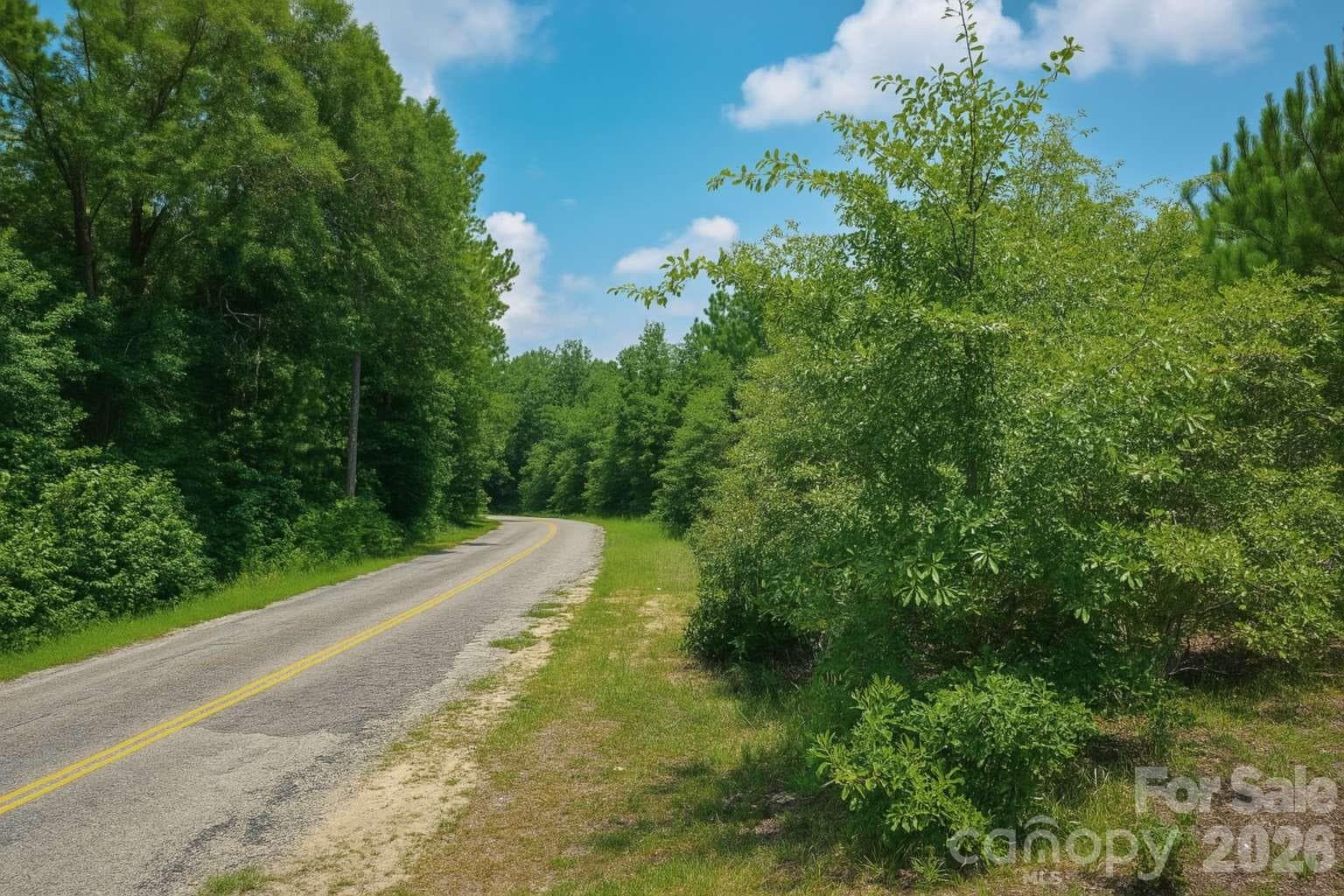 Acreage at 00 Blackwell Drive, Kershaw, photo 5 of 6