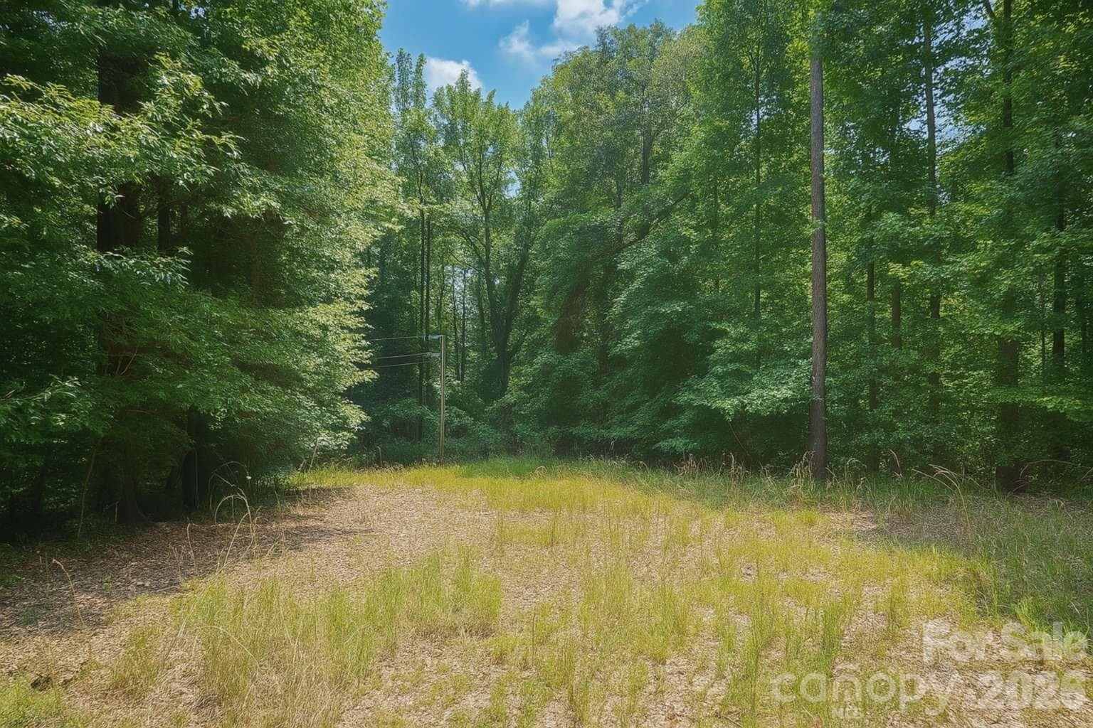 Acreage at 00 Blackwell Drive, Kershaw, photo 6 of 6