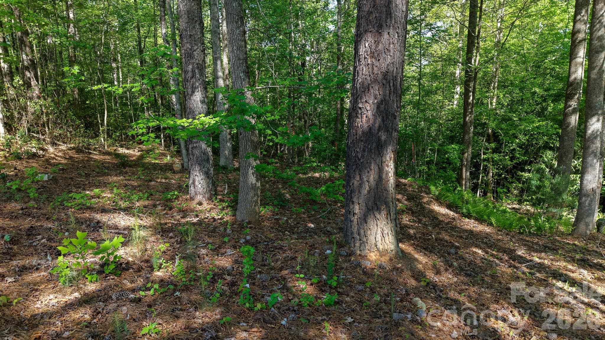 Lot at 105 Beacon Ridge Drive, Connelly Springs, photo 19 of 32