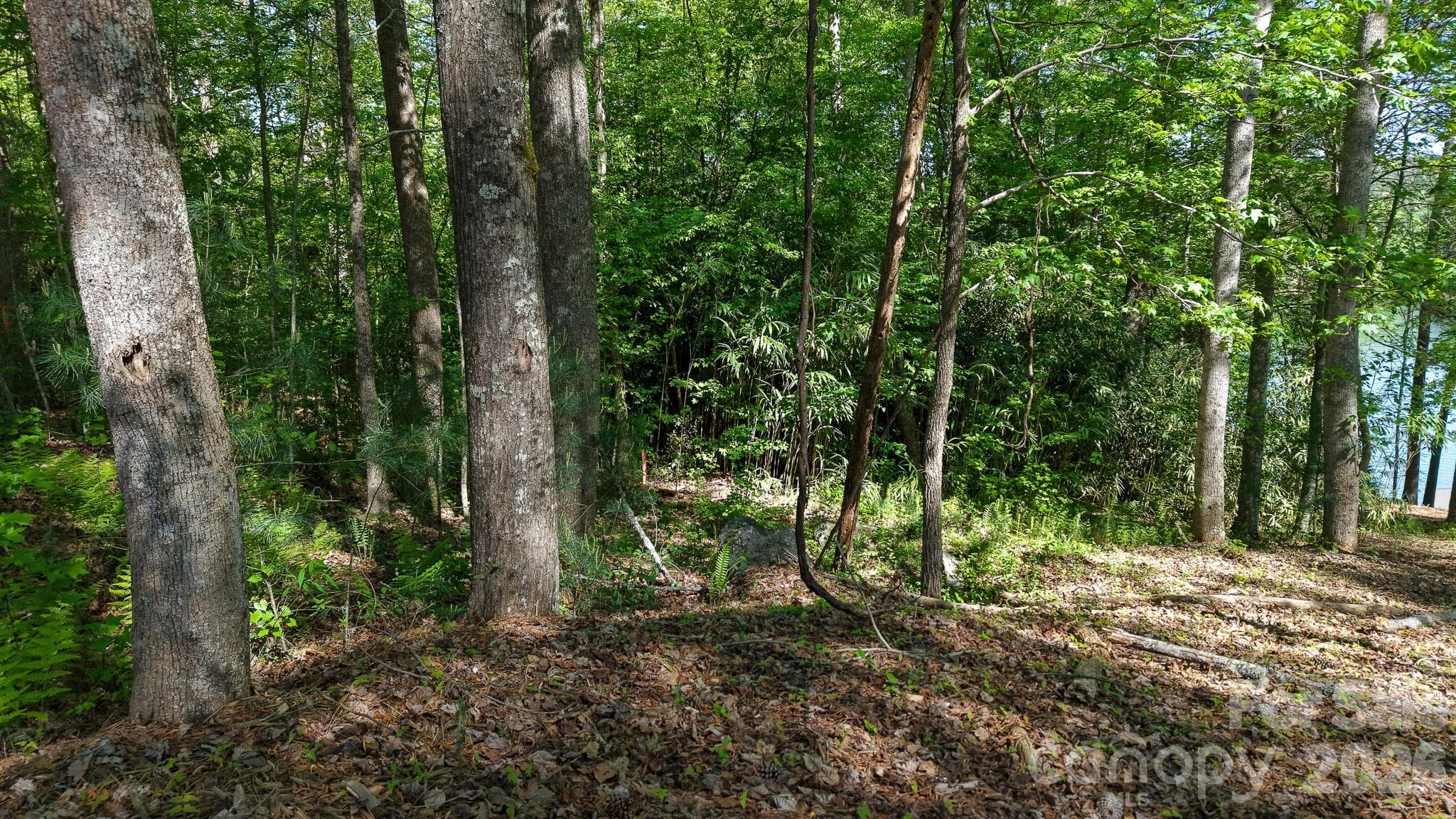Lot at 105 Beacon Ridge Drive, Connelly Springs, photo 22 of 32