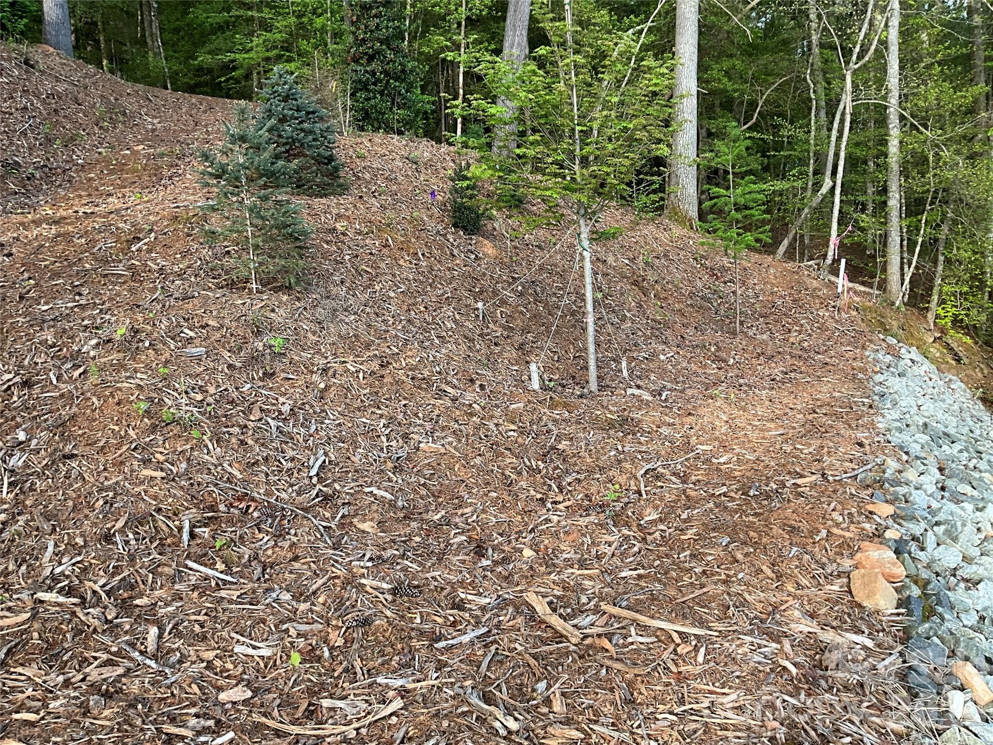 Lot at 105 Beacon Ridge Drive, Connelly Springs, photo 28 of 32