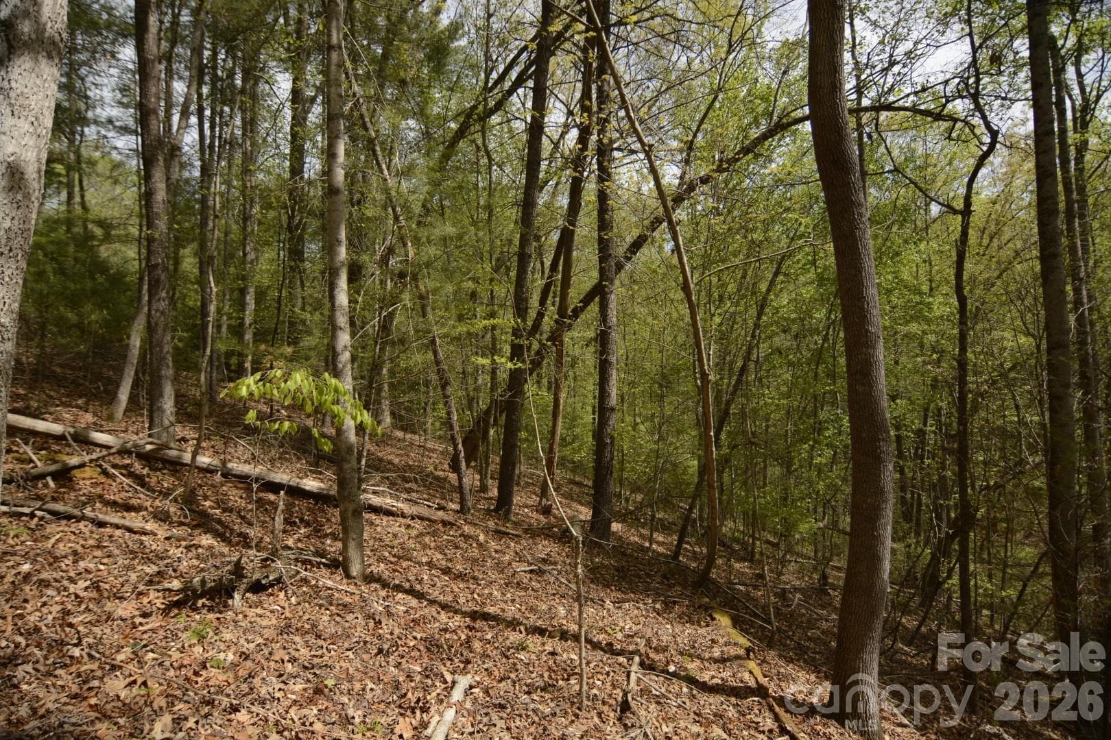 Acreage at 00 Garnet Drive, Leicester, photo 5 of 19