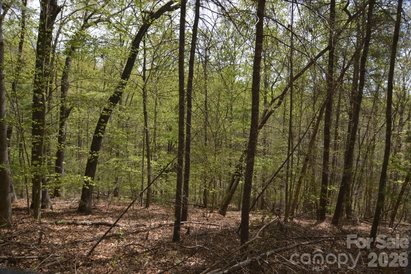 Acreage at 00 Garnet Drive, Leicester, photo 8 of 19