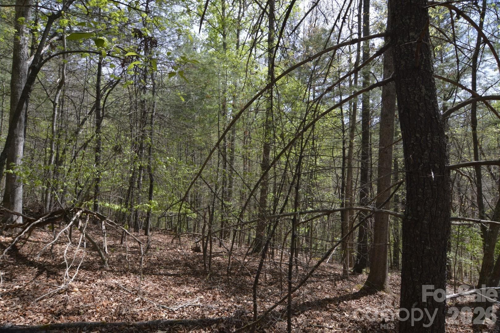 Acreage at 00 Garnet Drive, Leicester, photo 11 of 19