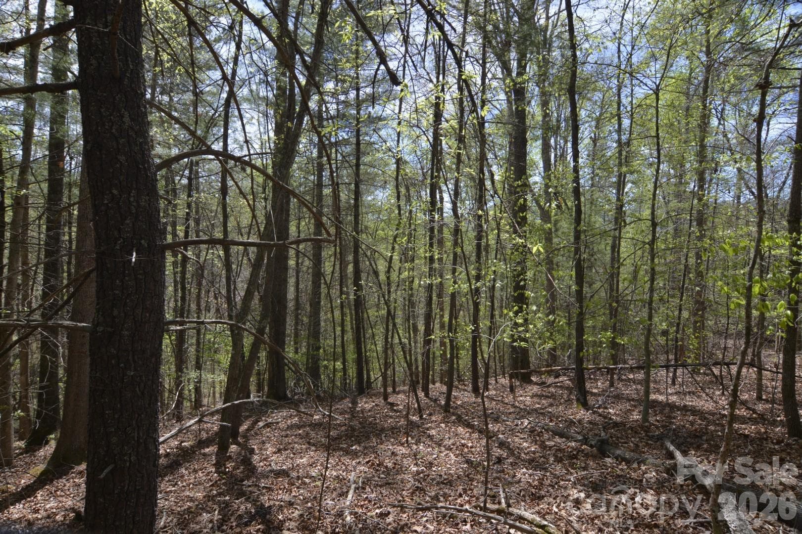 Acreage at 00 Garnet Drive, Leicester, photo 12 of 19