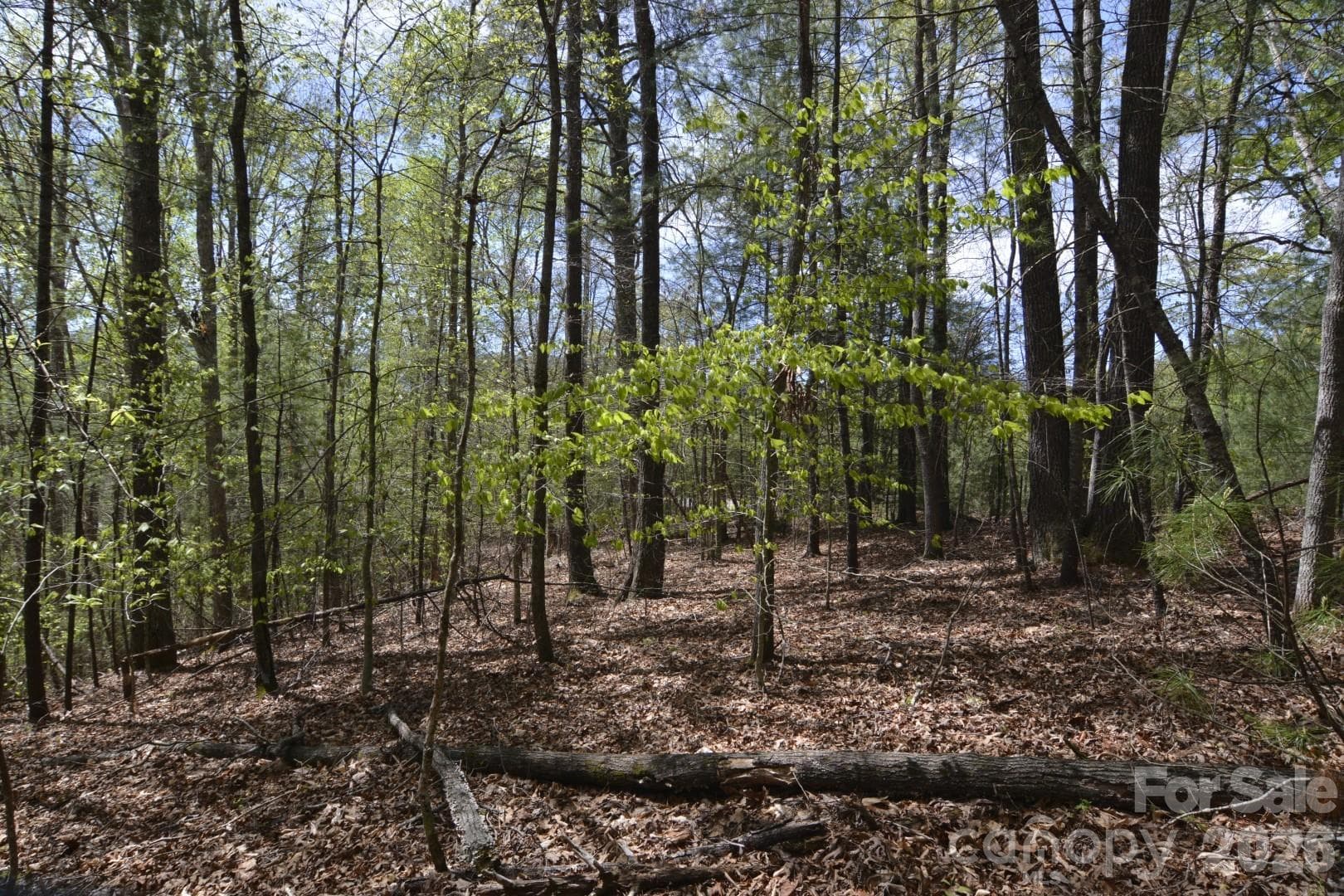 Acreage at 00 Garnet Drive, Leicester, photo 13 of 19
