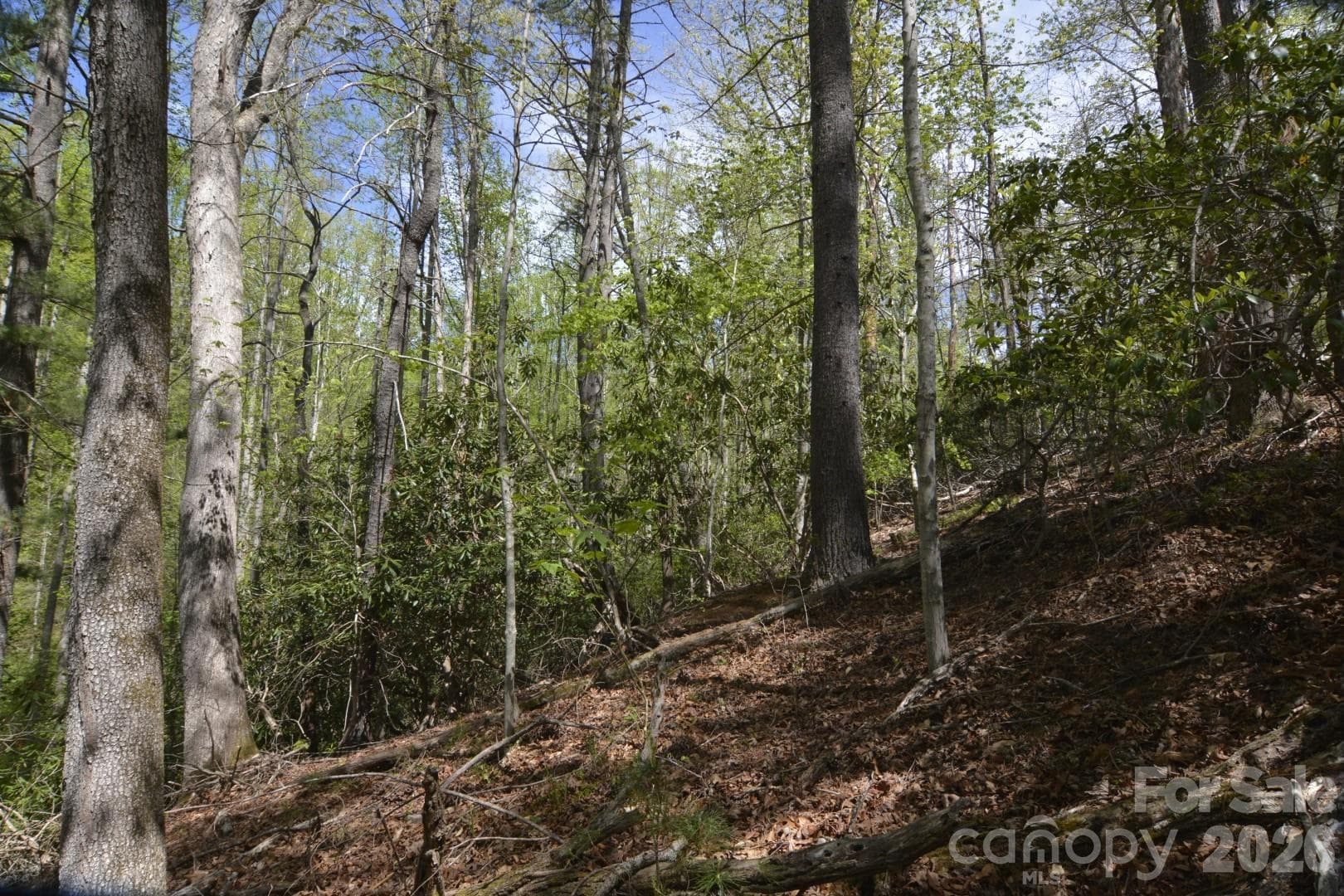 Acreage at 00 Garnet Drive, Leicester, photo 18 of 19